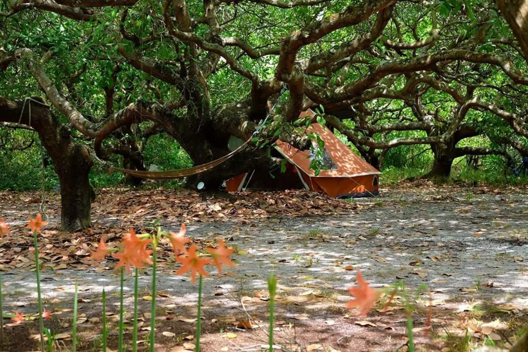 Cashew Nut Bungalow, Ko Mook Exterior foto